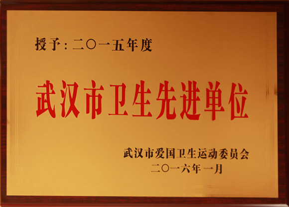 2016年1月荣获2015年度武汉市卫生先进单位